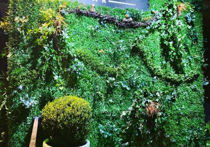 Njoftime Pune per Banakier/e ne Tirane