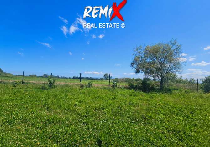 Ambient biznesi me qera 6+1 ne Durres - 400 Euro