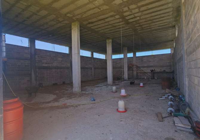 JEPET ME QERA TOKE ME KAPANON NE FSHATIN JUBE DURRES