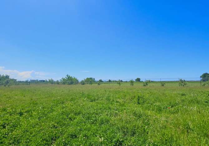 JEPET ME QERA TOKE ME KAPANON NE FSHATIN JUBE DURRES