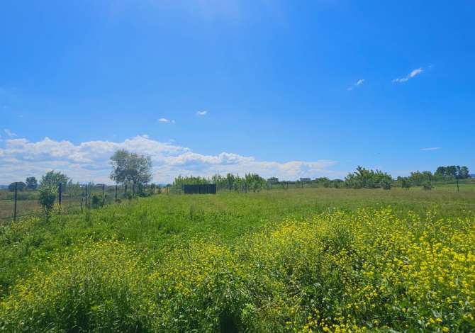 JEPET ME QERA TOKE ME KAPANON NE FSHATIN JUBE DURRES