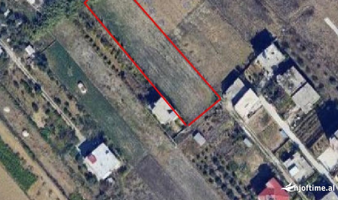 SHITET TOKE NE SHKALLNUR DURRES