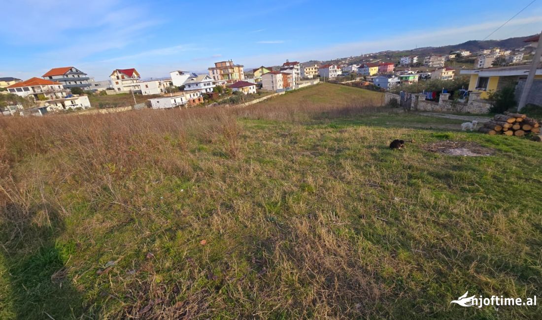 Shitet Toke ne Arapaj, Durres – Mundesi Ndarjeje sipas Kerkeses