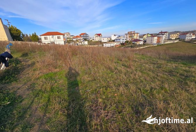 Shitet Toke ne Arapaj, Durres – Mundesi Ndarjeje sipas Kerkeses