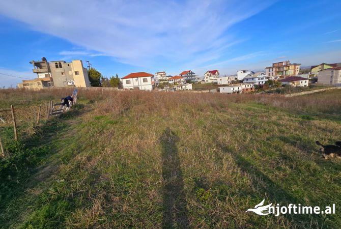 Shitet Toke ne Arapaj, Durres – Mundesi Ndarjeje sipas Kerkeses