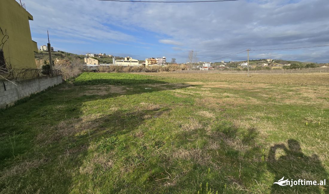 SHITET TOKE NE PLEPA SHKALLNUR DURRES