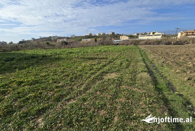 SHITET TOKE NE PLEPA SHKALLNUR DURRES