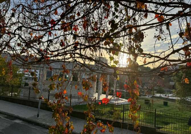 Jepet me qera lokali tek Memoriali i Skenderbeut