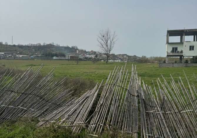 🔥JEPET TOKE ME QERA PER PARKING NE YZBERISHT🔥