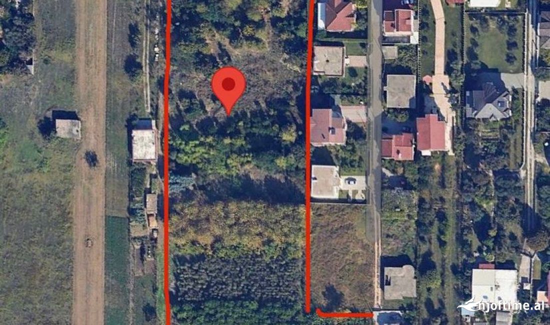 Shitet Toke Truall ne Kamez