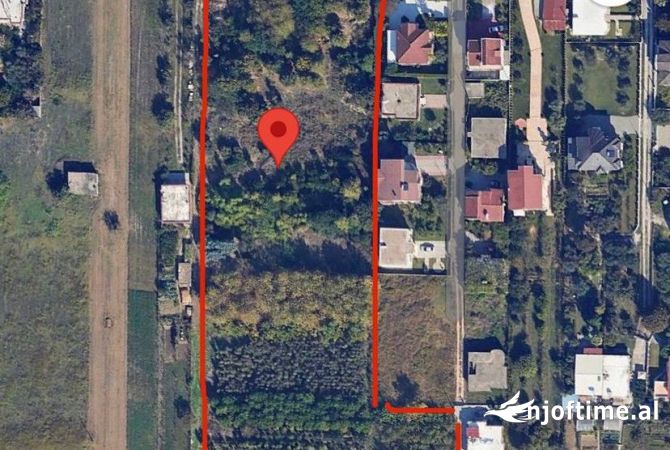 Shitet Toke Truall ne Kamez