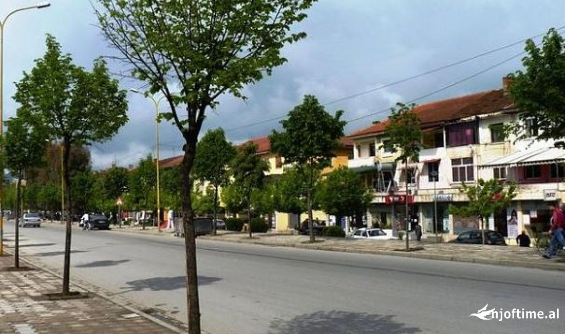 Shitet Truall ne Kombinat 