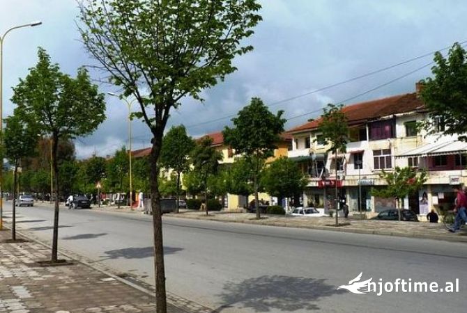 Shitet Truall ne Kombinat 