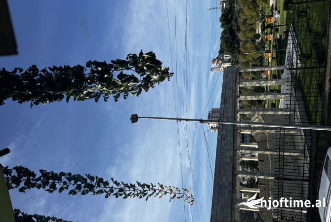 Ambiente Commerciale in Affitto 3+1 a Alessio - 150 Euro