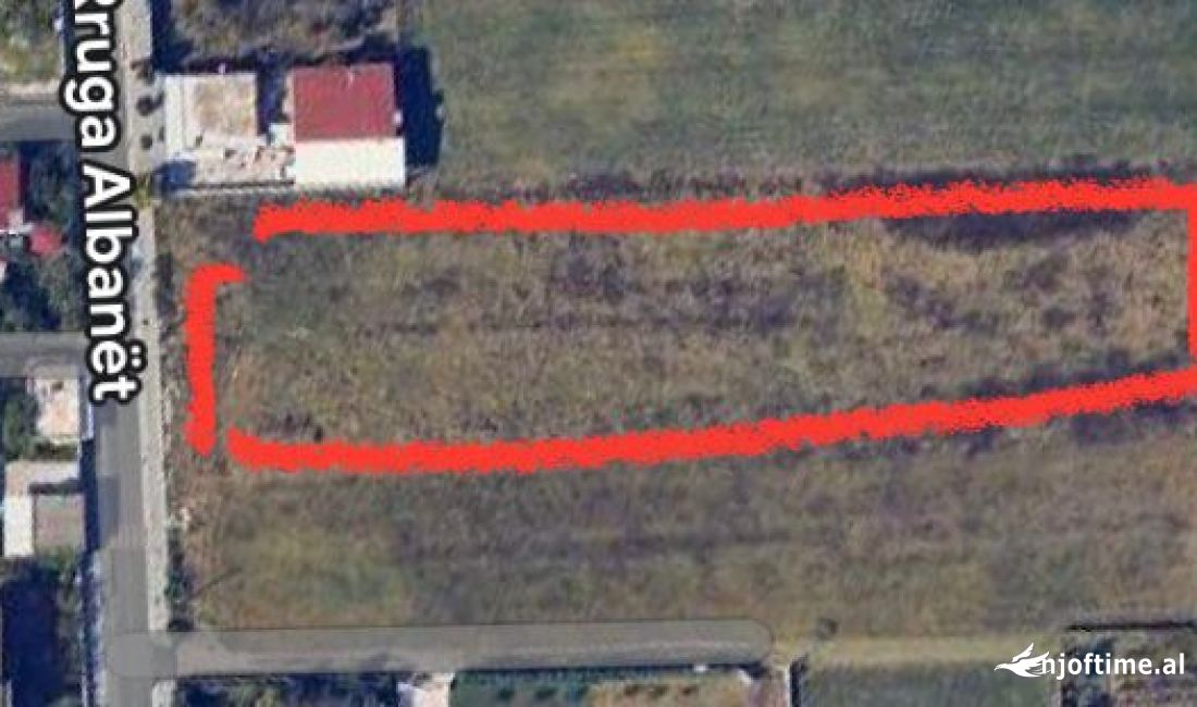 Shitet Toke ne Kamez.