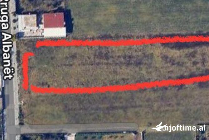 Shitet Toke ne Kamez.