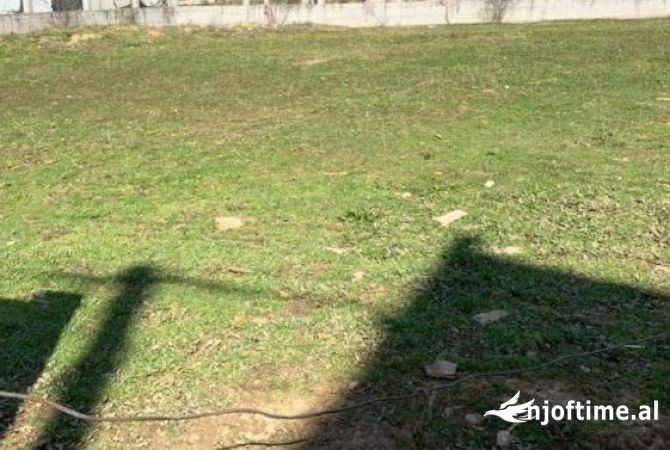 SHITET TOKE NE VAQARR.