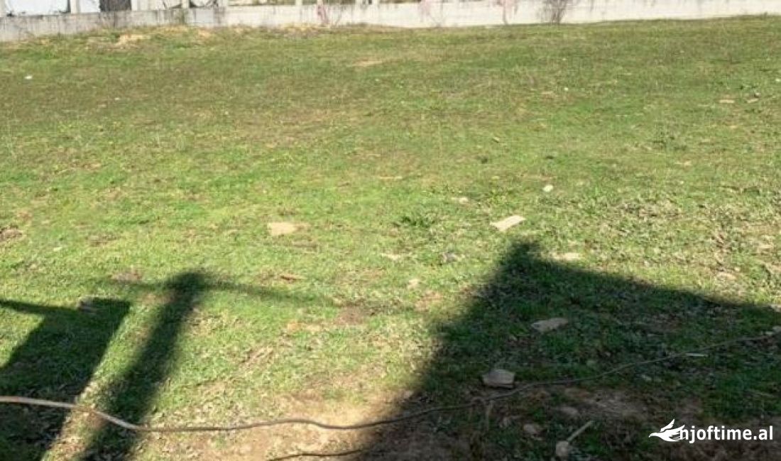 SHITET TOKE NE VAQARR.