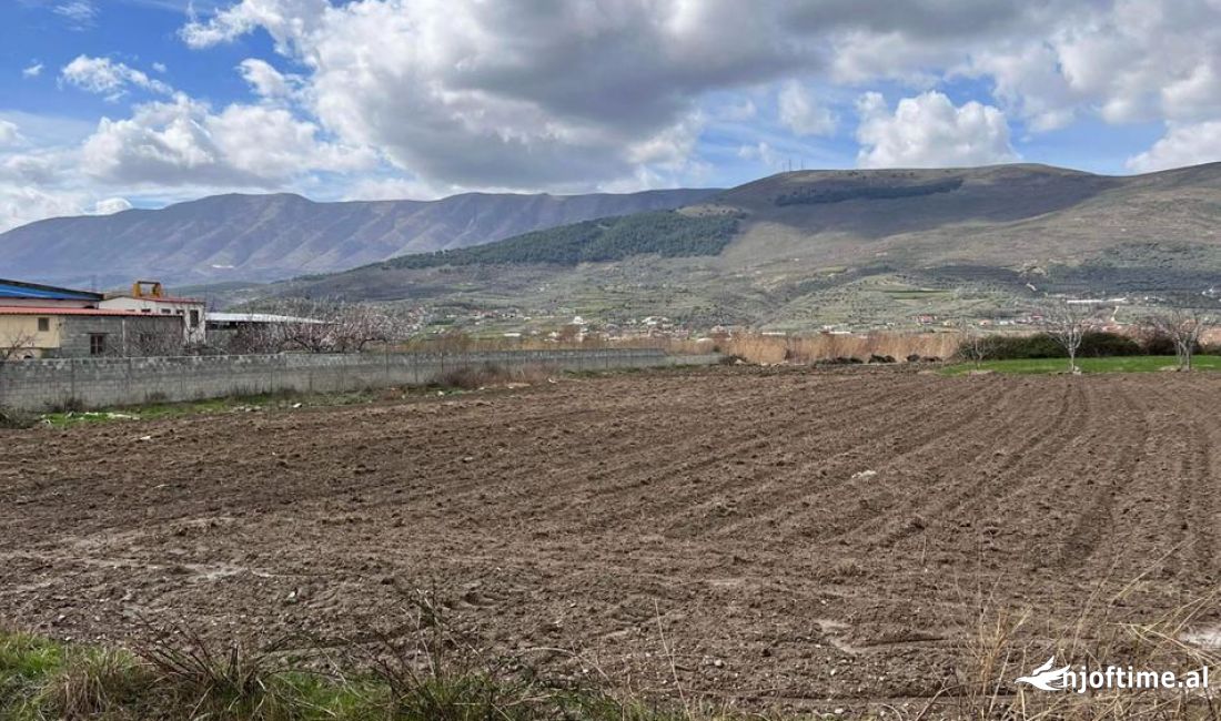 💫SHITET TOKE NE BERAT