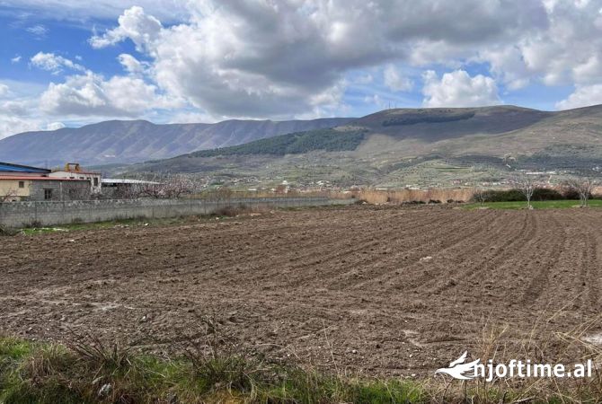 Truall ose Toke ne Berat - 22,000 Euro