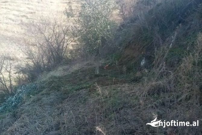 Land for Sale in Berat - 72,000 Euro