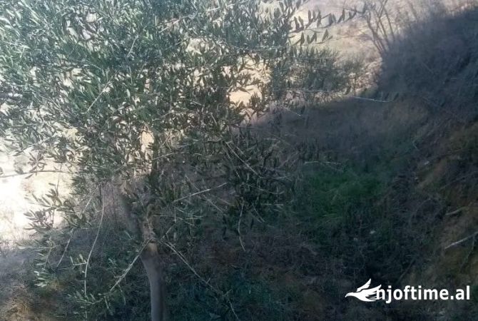 Land for Sale in Berat - 72,000 Euro