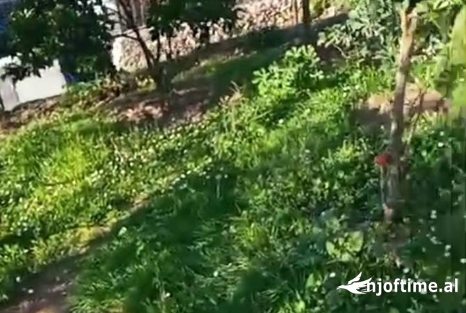 Shtepi ne shitje Shtepi Private ne Berat, 2+1, Mobilimi E mobiluar, Pagesa 156,000  Euro.