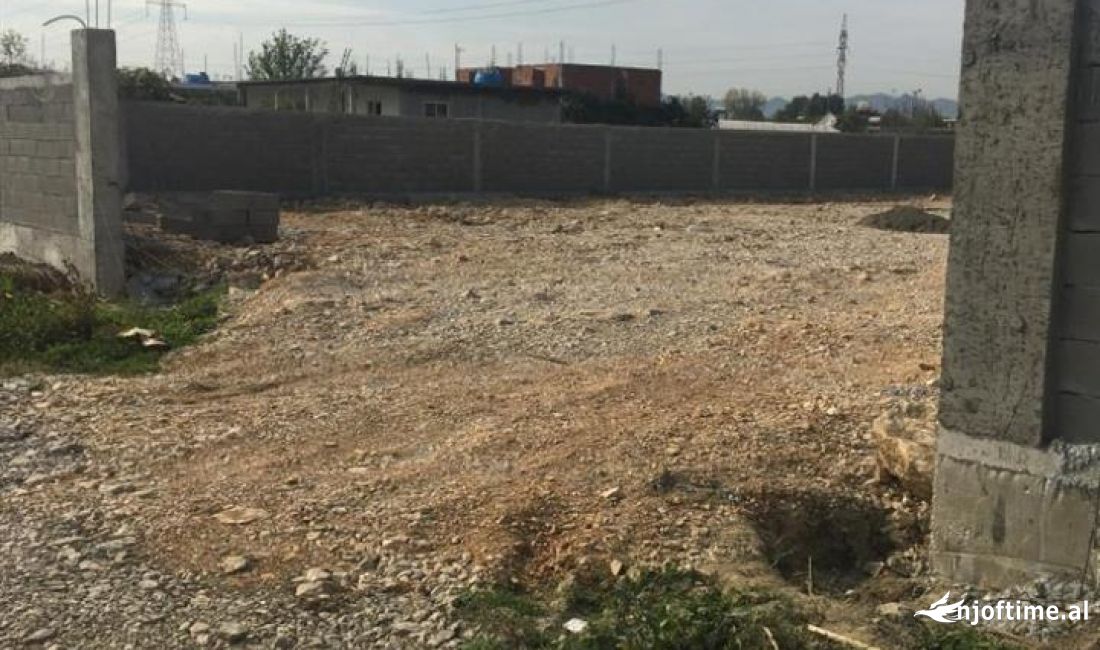 Shitet  Super Toke ne Kamez.