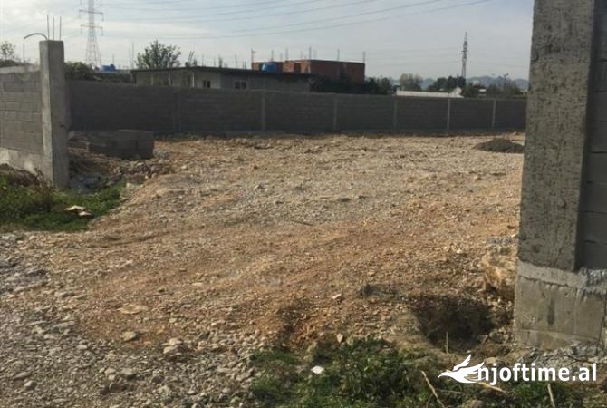 Shitet  Super Toke ne Kamez.