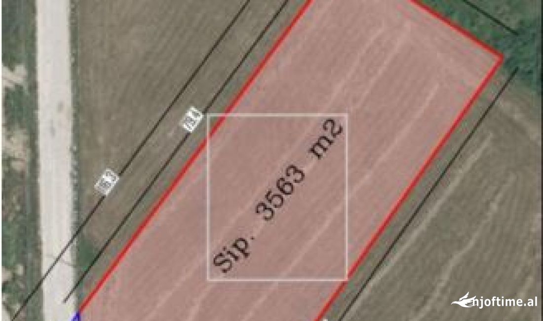 🔥 SHITET TOKE NE YZBERISHT🔥 