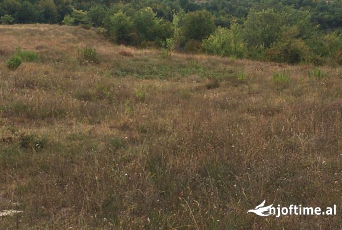Land for Sale in Tirana - 275,000 Euro