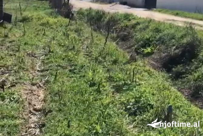 Truall ose Toke ne Berat - 66,000 Euro