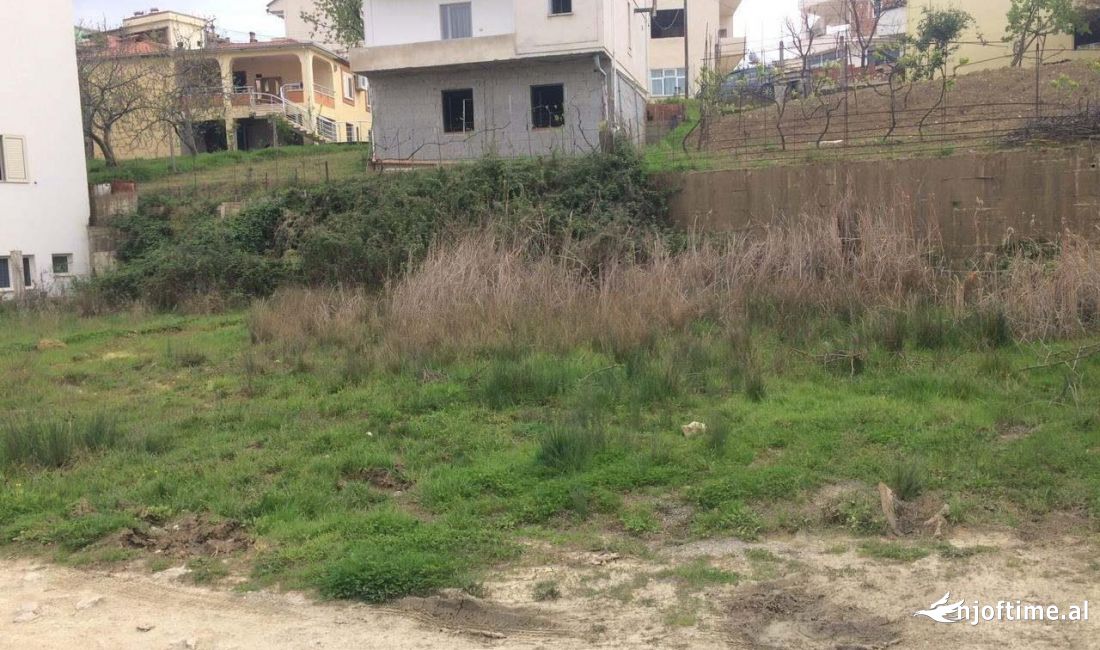  Shitet  Truall  me Hipoteke ne Ali Dem 