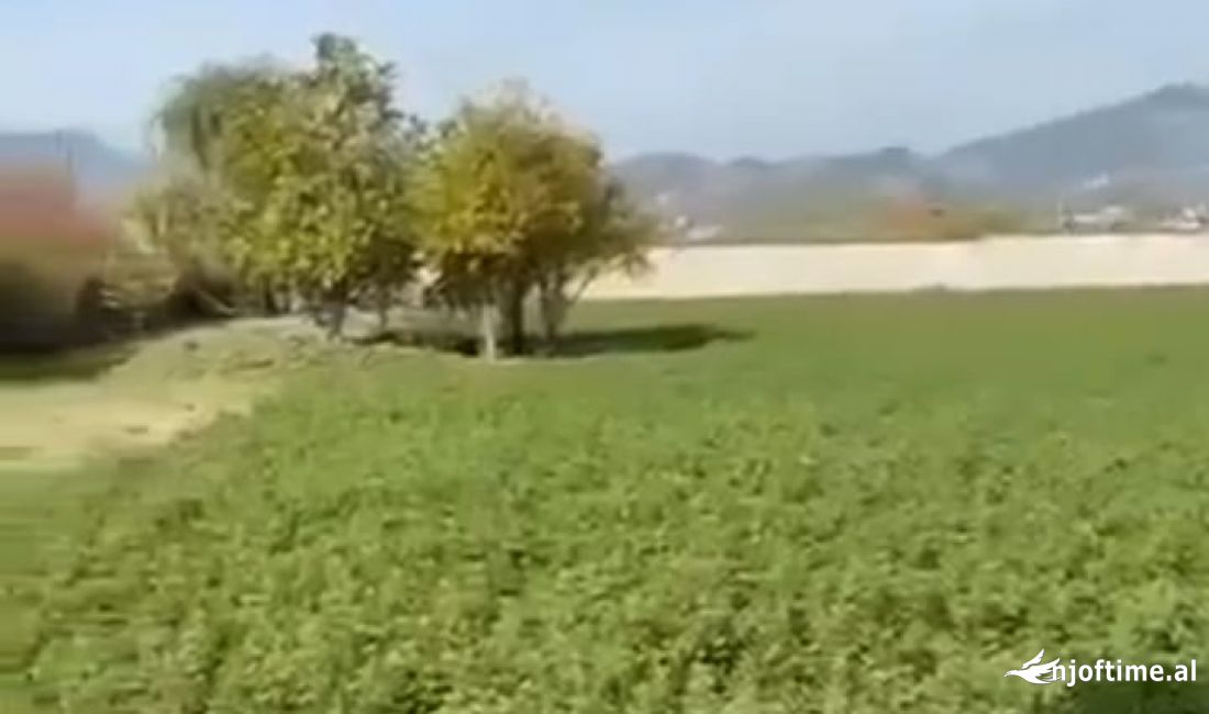 💫Shitet Toke Trualli ne Hyrje te Elbasanit