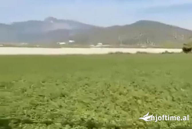 💫Shitet Toke Trualli ne Hyrje te Elbasanit