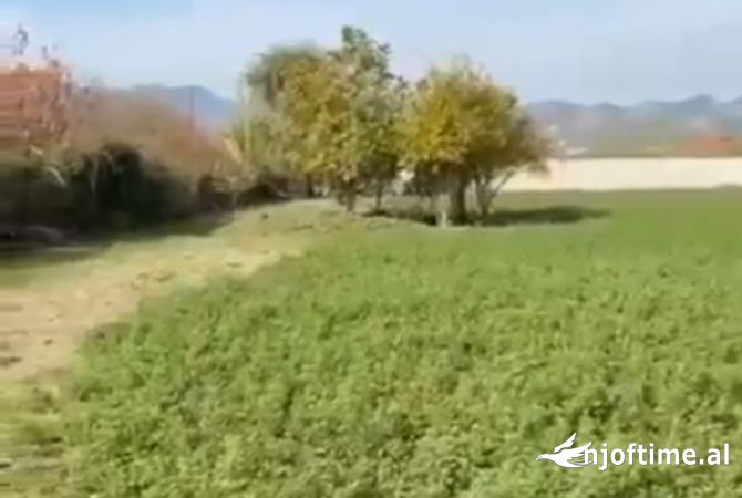 Truall ose Toke ne Elbasan - 107,500 Euro