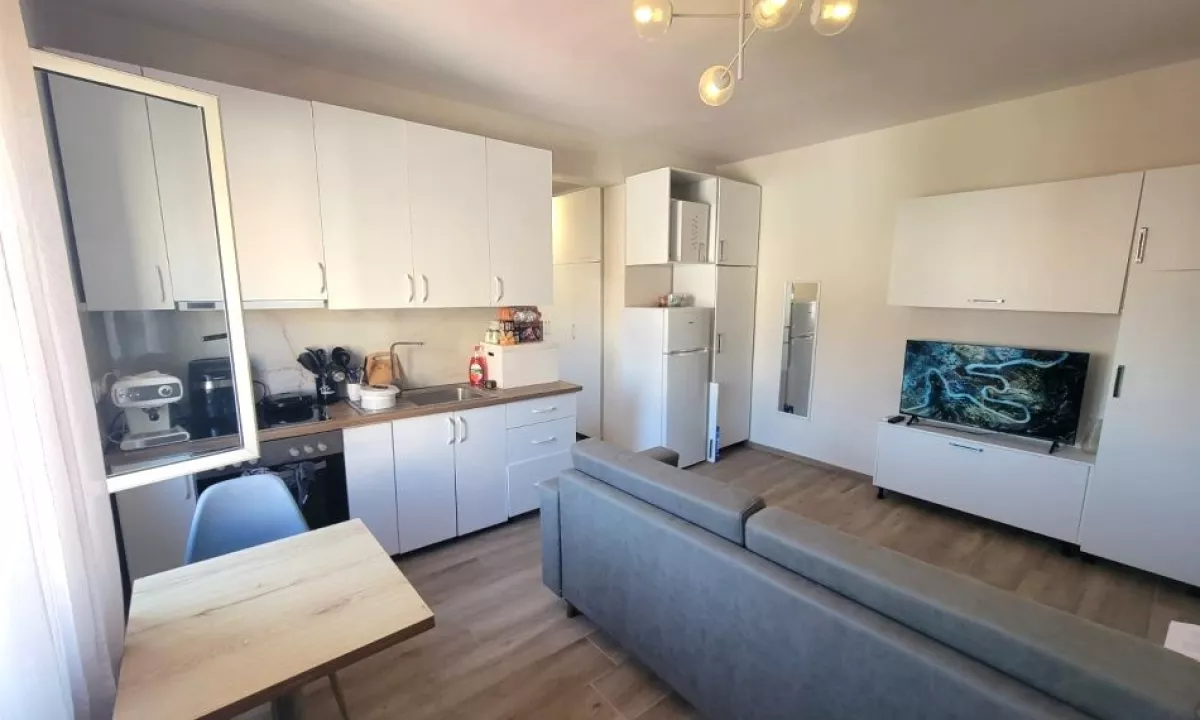 Shtepi me qera Apartament ne Tirane, 1+1, Mobilimi E mobiluar, Pagesa 530  Euro.