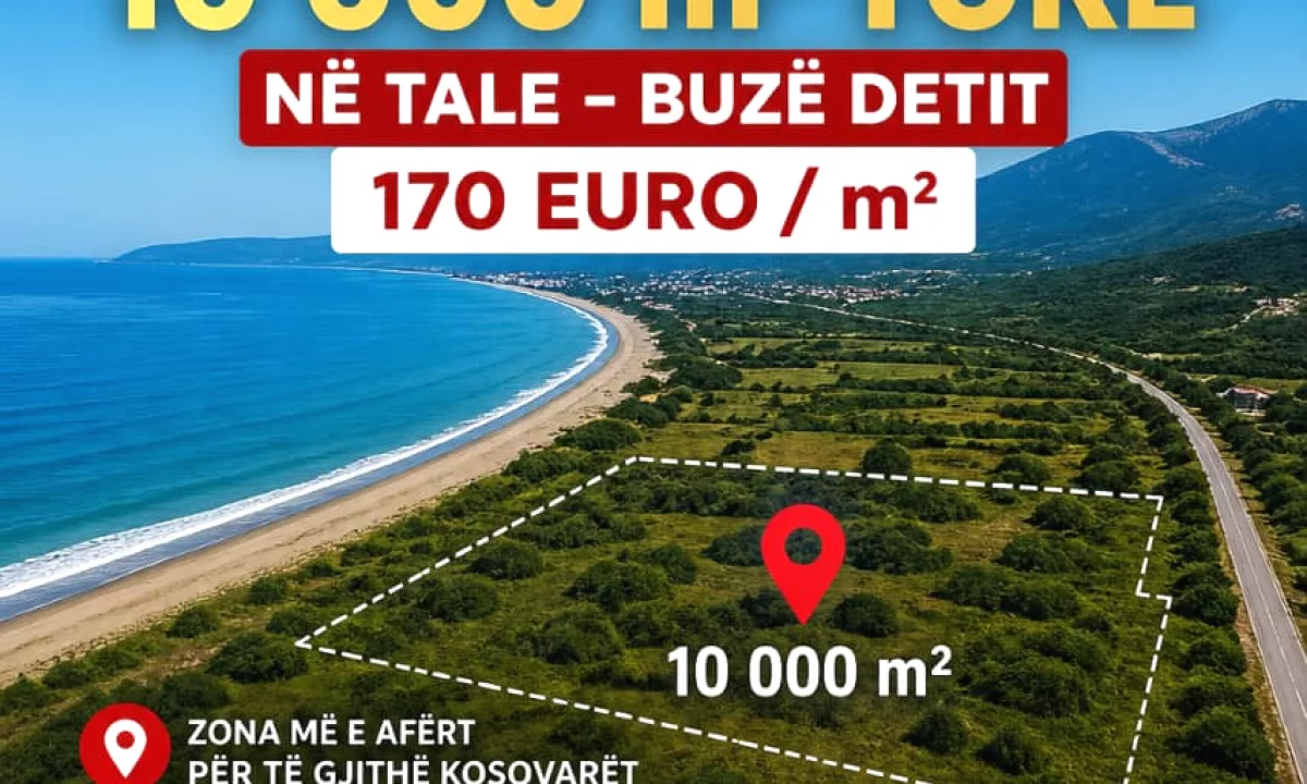 SHITET TOKE NE TALE / LEZHE me Siperfaqe 10.000 m2
