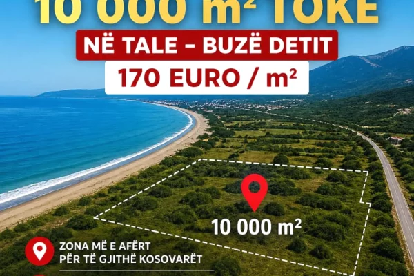 SHITET TOKË NË TALE / LEZHE me Siperfaqe 10.000 m²