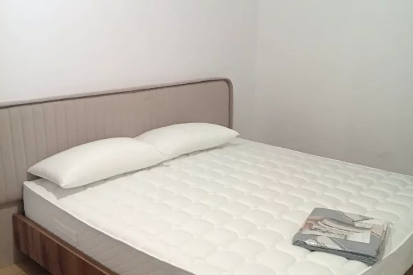 Shtepi me qera Apartament ne Tirane, 2+1, Mobilimi E mobiluar, Pagesa 450  Euro.