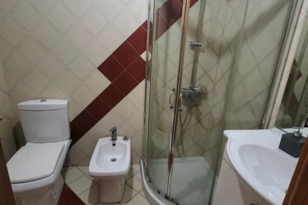 Shtepi me qera Apartament ne Tirane, 1+1, Mobilimi E mobiluar, Pagesa 400  Euro.