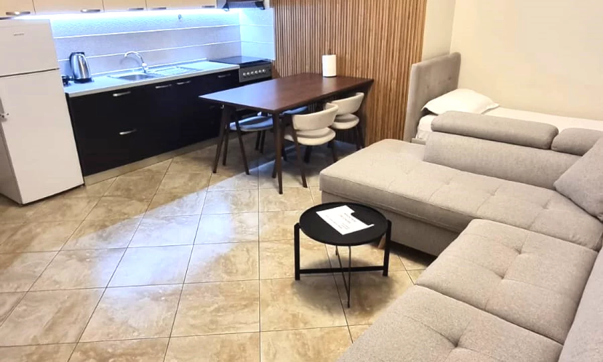 Shtepi me qera Apartament ne Tirane, 1+1, Mobilimi E mobiluar, Pagesa 500  Euro.