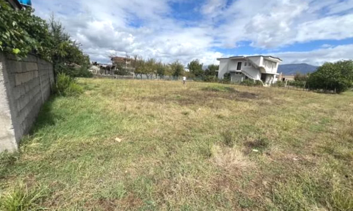 SHITET TOKE NE KAMEZ PER NDERTIM OSE BIZNES