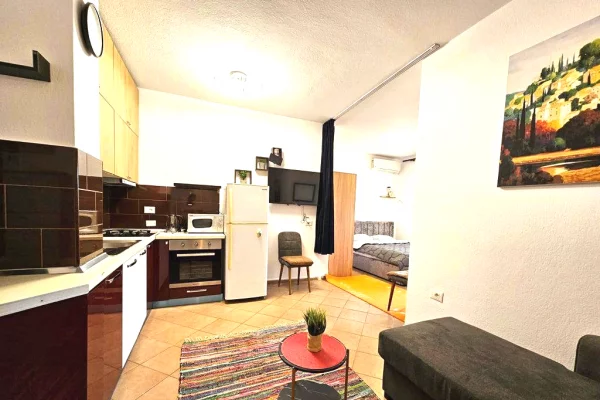 House for Rent 1+1 in Tirana - 400 Euro