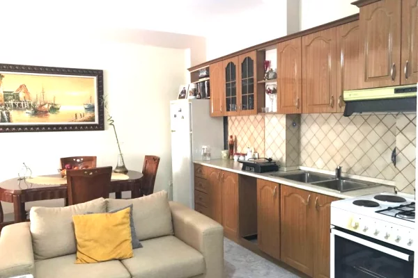 House for Rent 1+1 in Tirana - 420 Euro