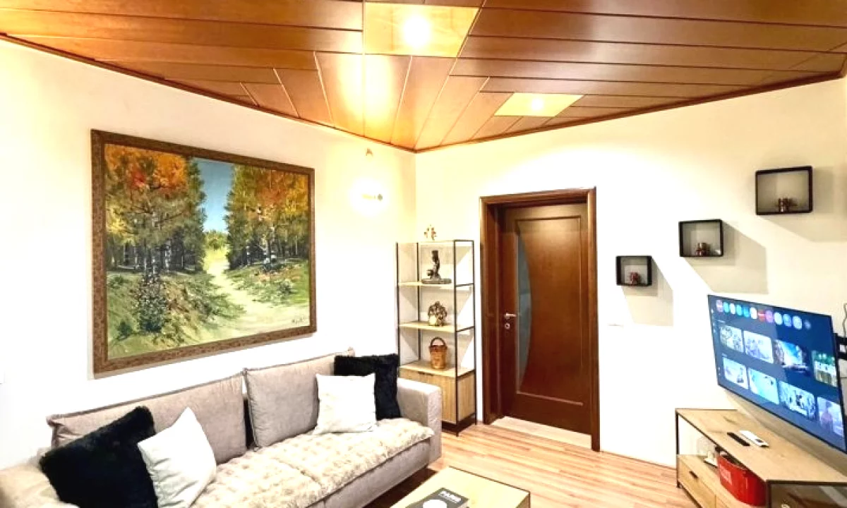 Luxury villas for rent in Tirana 1+1, Furnished