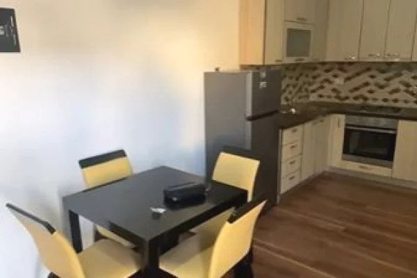 House for Rent 1+1 in Tirana - 45,000 Leke