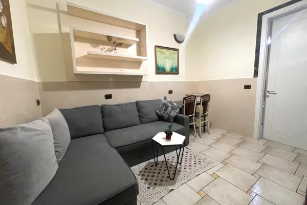 House for Rent 1+1 in Tirana - 420 Euro