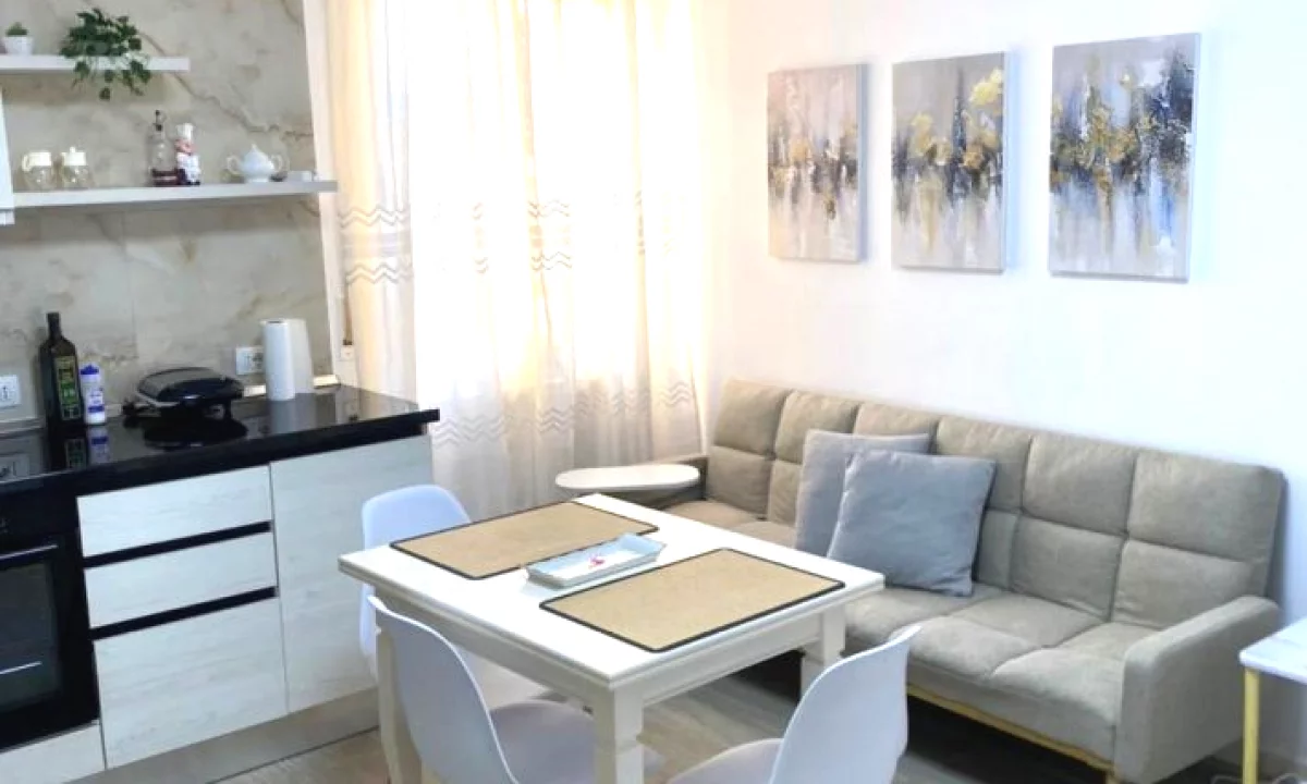 Shtepi me qera Apartament ne Tirane, Garsoniere, Mobilimi E mobiluar, Pagesa 450  Euro.