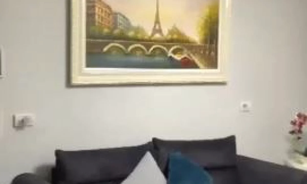 Shtepi me qera Apartament ne Tirane, 1+1, Mobilimi E mobiluar, Pagesa 450  Euro.